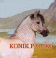 Konik Polski